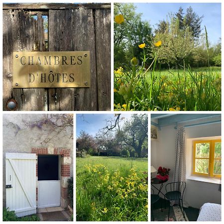 Chambres D'Hotes Les Renardieres Molineuf Bagian luar foto