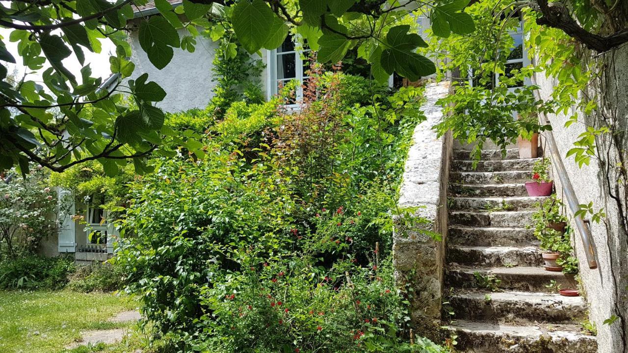 Chambres D'Hotes Les Renardieres Molineuf Bagian luar foto