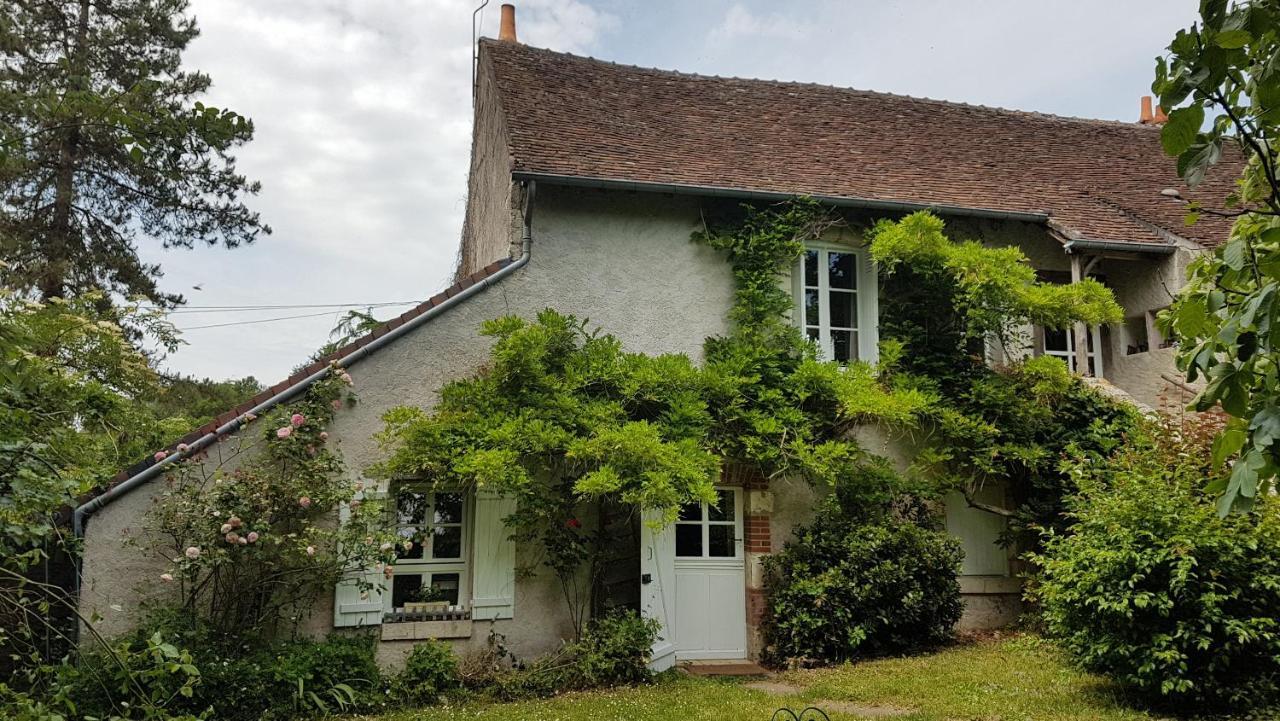 Chambres D'Hotes Les Renardieres Molineuf Bagian luar foto