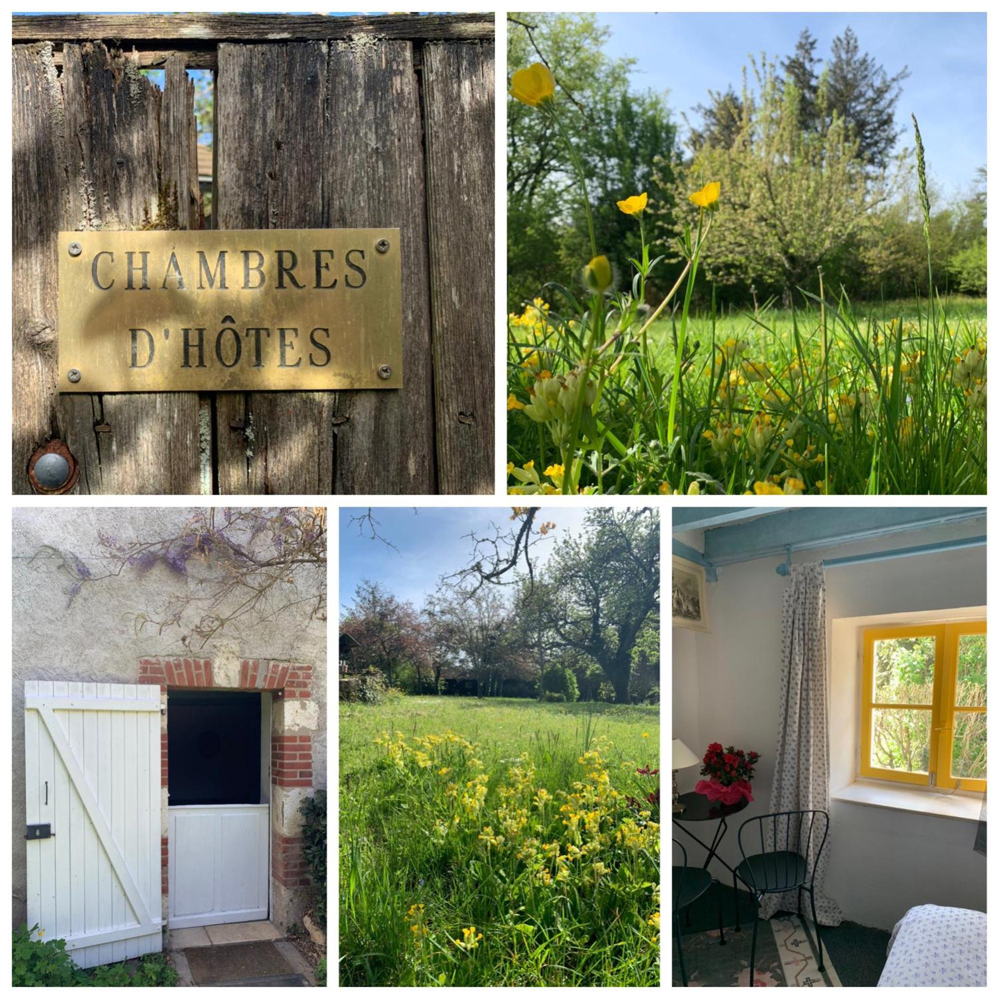 Chambres D'Hotes Les Renardieres Molineuf Bagian luar foto